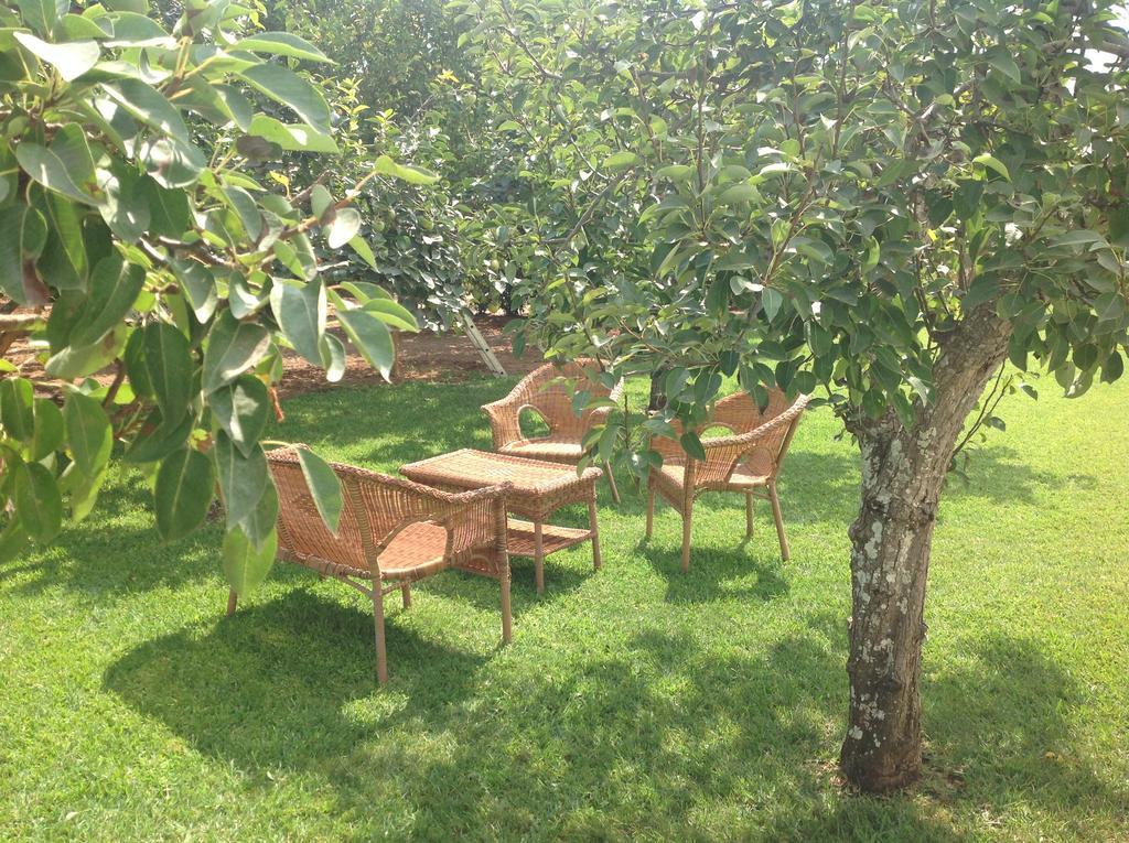 Agriturismo L'Agrumeto Otranto Exterior photo